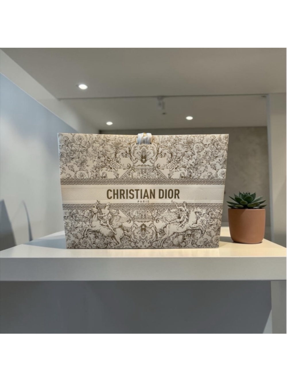Christian Dior Gift Bag & Ribbon - Brand New